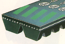 Green Stripe Platinum Quality